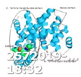 Viagra Sildenafil 100mg