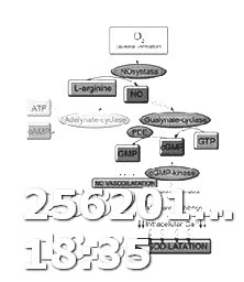 Viagra Patent Expiration Date