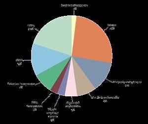 Viagra vs Cialis vs Levitra vs Kamagra