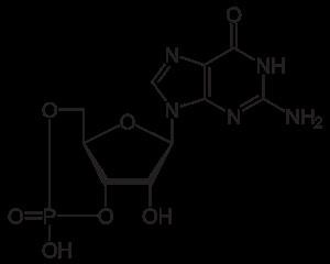 Viagra 25mg vs 50mg vs 100mg Viagra