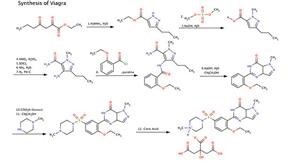 Plavix and Viagra Contraindications Cocaine